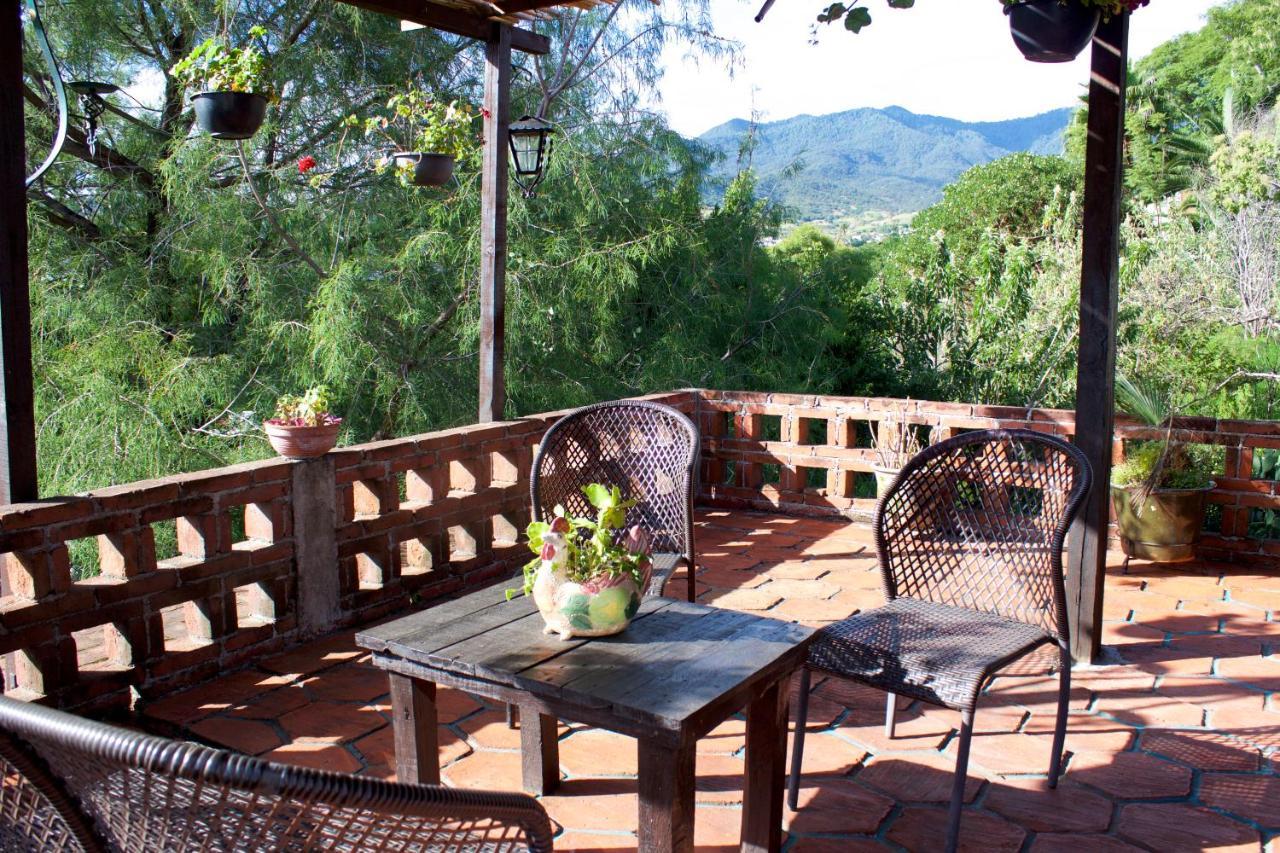 Suite Junior con terraza