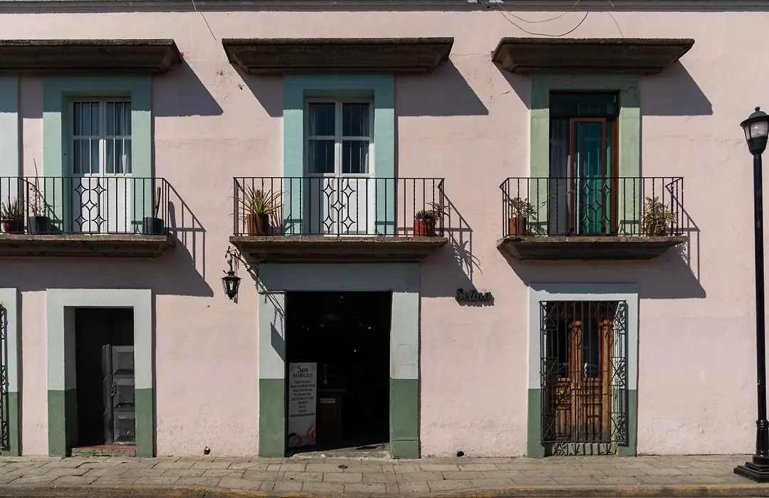 Selina Oaxaca-1