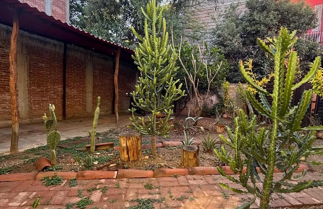 Tu casa Oaxaca...-1