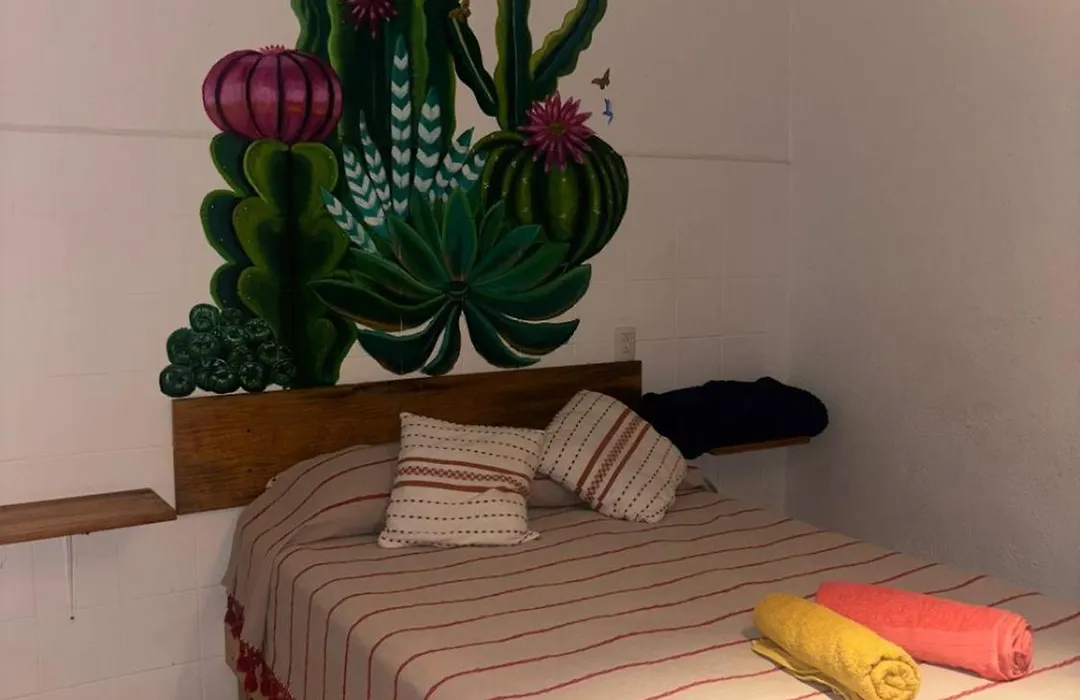 Hostel Casa Maguey-1