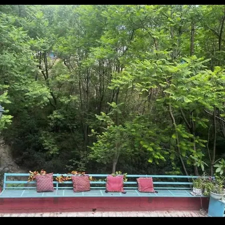 Casa Grey-2