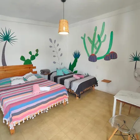 Hostel Casa Maguey-3