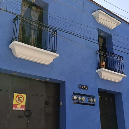 Casa Gecko-3