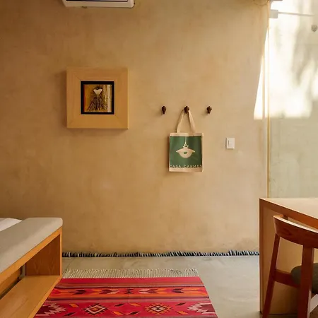 Casa Carmen Reforma-3