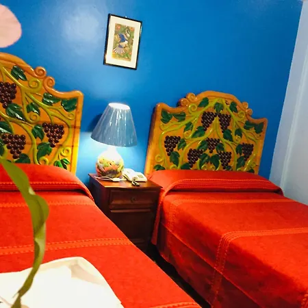 Hotel Cazomalli Oaxaca-3