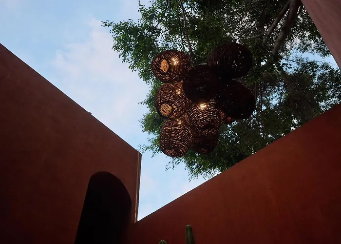 Hotel Casa Carmen Reforma Oaxaca