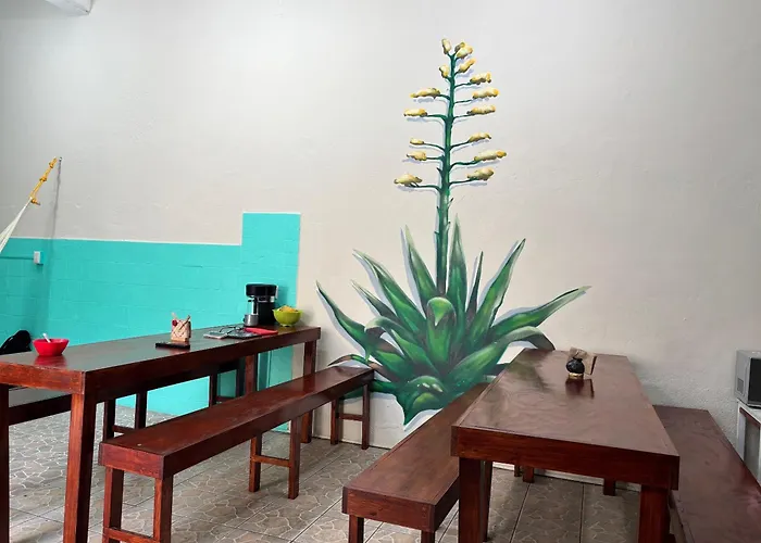 Hostel Casa Maguey Oaxaca