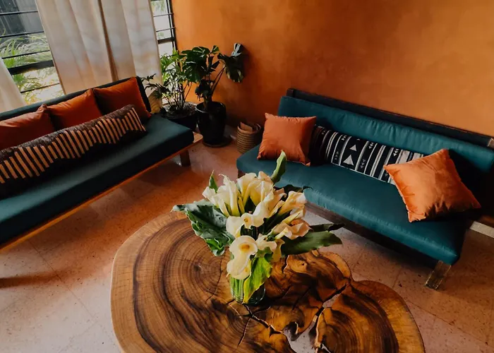 Hotel Boulenc Bed And Bread Oaxaca